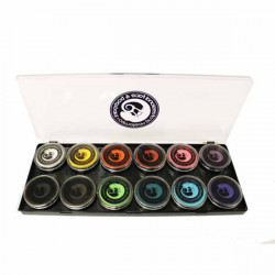 Cameleon Basis Palet - 12 kleuren