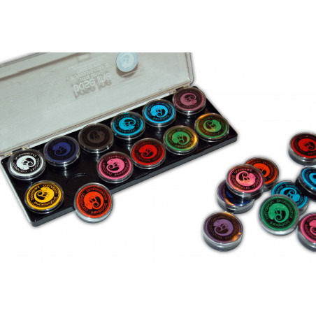 Cameleon Basis Schminkpalet 12 kleuren